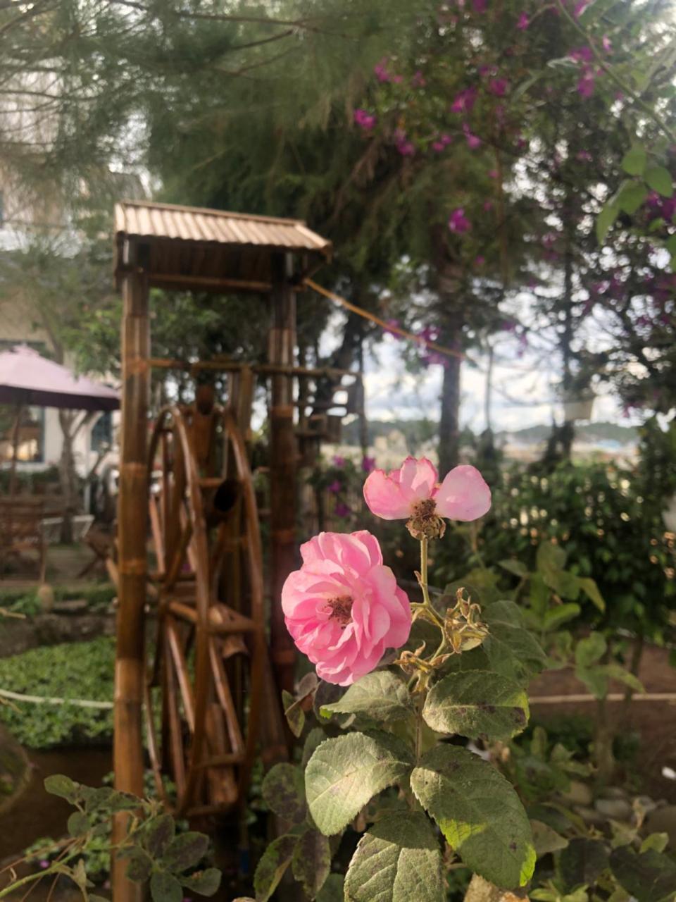 Da Lat Lotus Villa Boutique Exterior foto